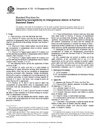 ASTM A763-93(2004)