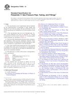 ASTM F2945-12