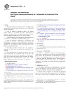 ASTM F3007-13