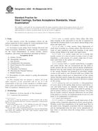 ASTM A802-95(2015)