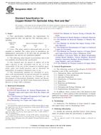 ASTM B929-17