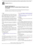 ASTM C618-19