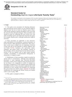 ASTM E1193-20